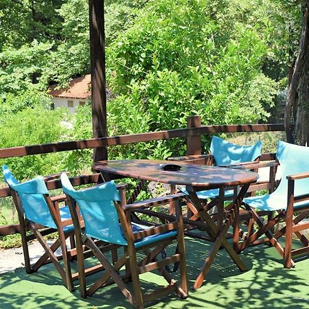 Chorefto Port House Villa Zagora Dış mekan fotoğraf