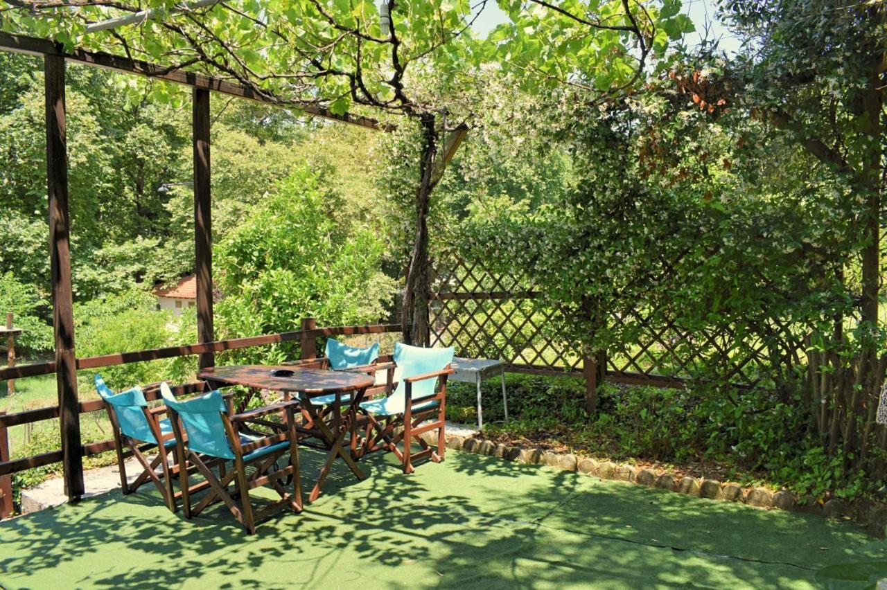 Chorefto Port House Villa Zagora Dış mekan fotoğraf